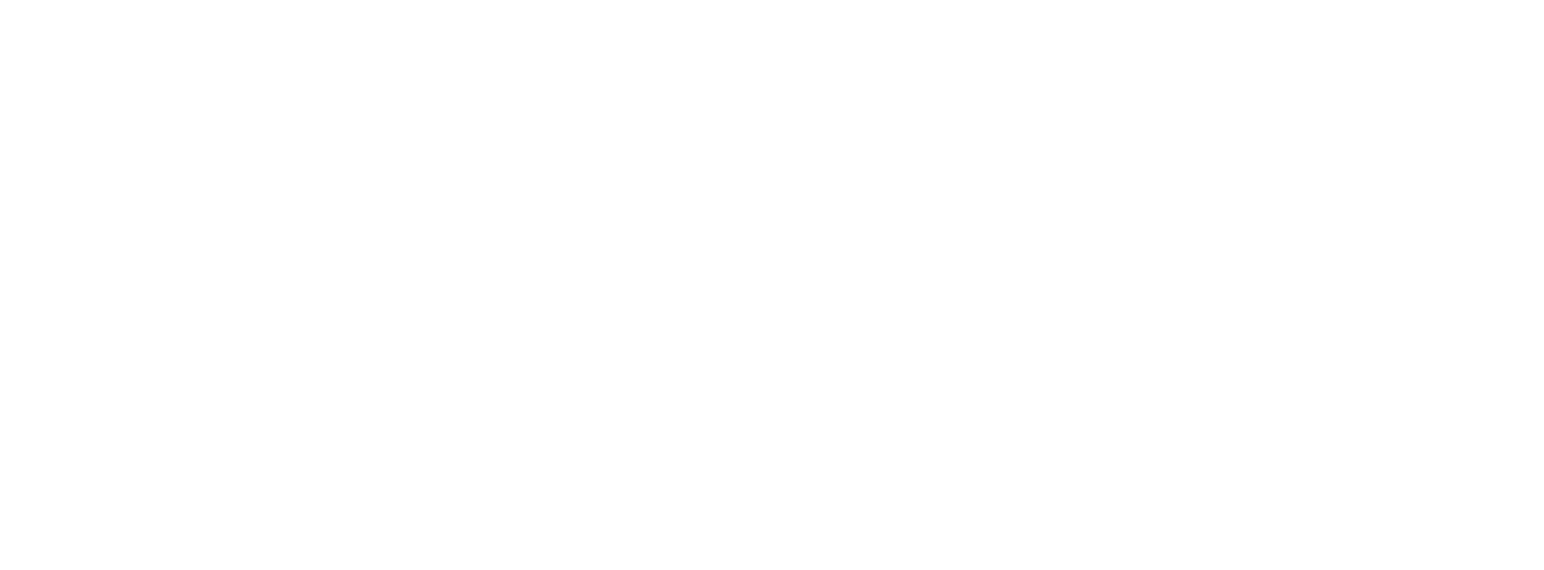 샤리테 베를린